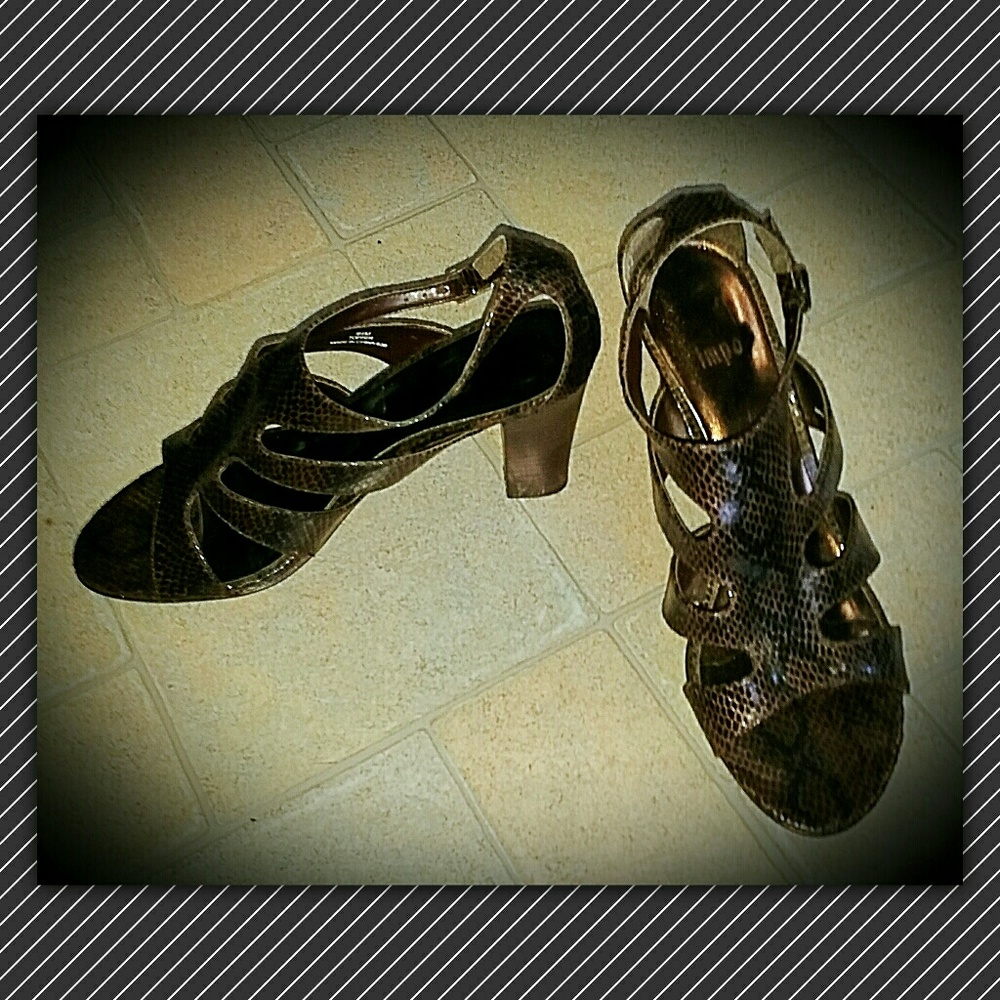Deep Brown Snakeskin Shoes