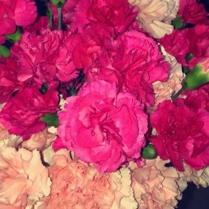 Meet your Posher, Maria