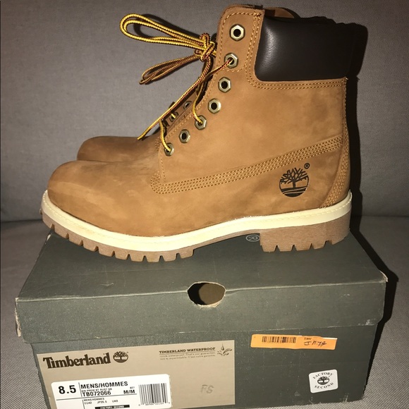 Timberland 6\