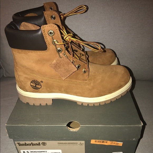 Timberland 6\