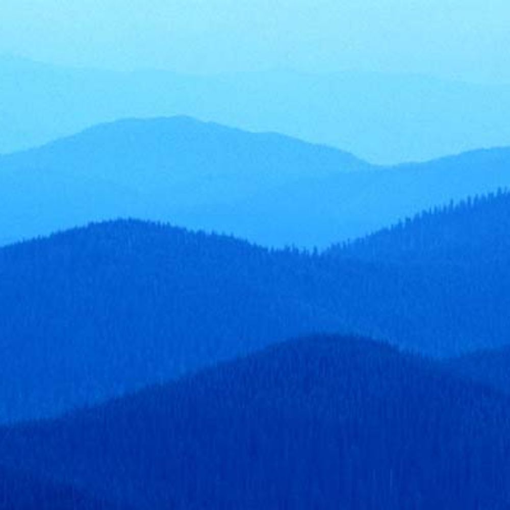 Meet your Posher, Cameron