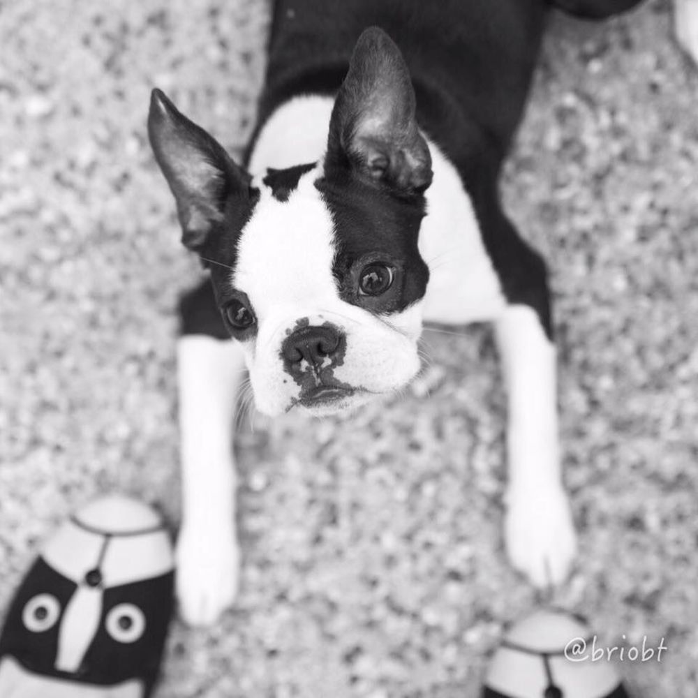 Meet your Posher, Kim