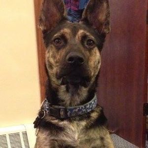 Meet your Posher, Jacque