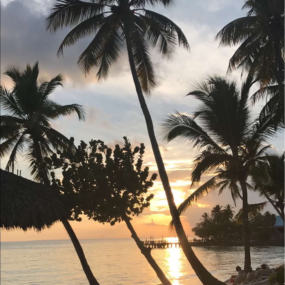 Meet your Posher, Salina