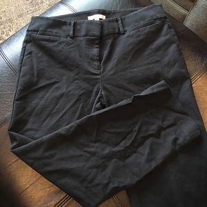 Loft Marissa Riviera Pant