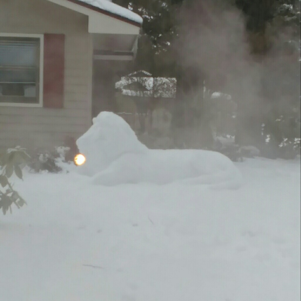 Meet your Posher, Amber