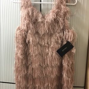 Zara Pink Fringed Dress
