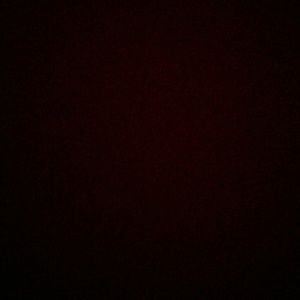 Meet your Posher, Dora