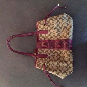 Coach Signature Python Stripe Carryall Tote