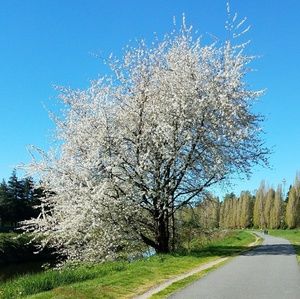 Meet your Posher, Heidi