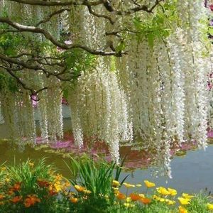 Meet your Posher, Margarita