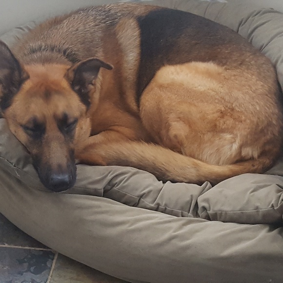 Meet your Posher, Shannon - Picture 4 of 5