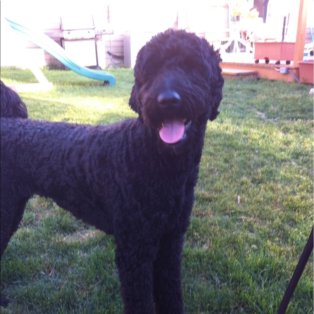 Meet your Posher, Mary