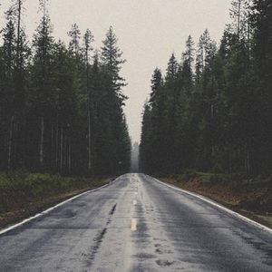 Meet your Posher, Kristin