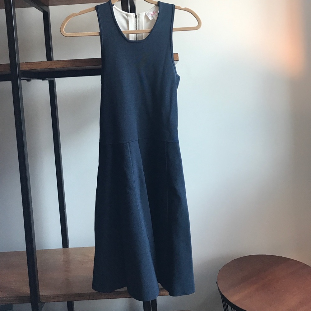 Parker Fit and Flare Dress