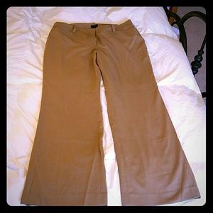 Ann Taylor Signature pants