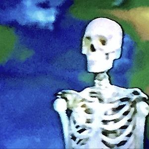 Meet your Posher, Dora