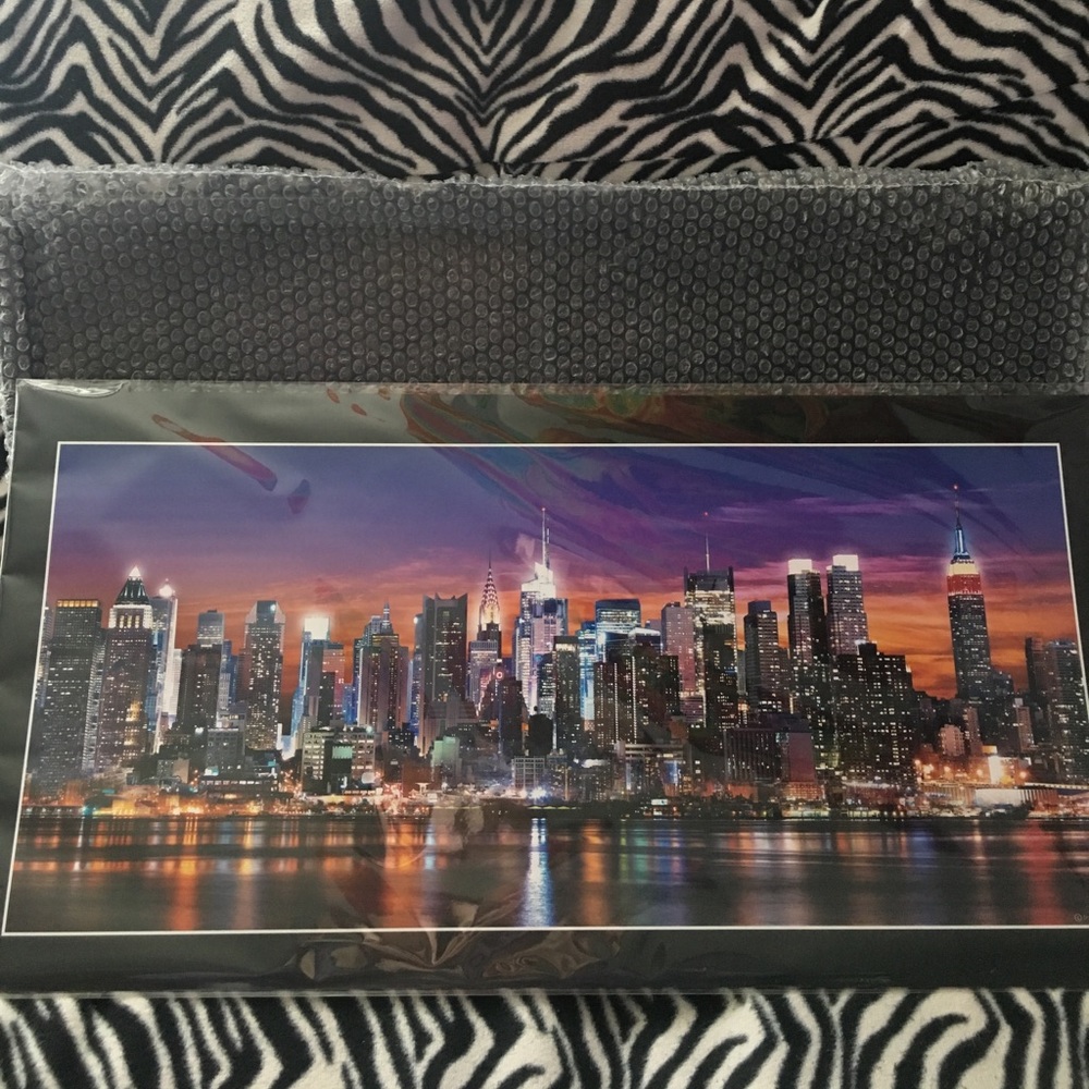 New York City professional photo & frame