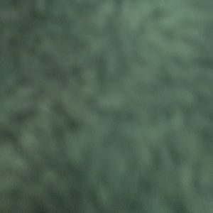 Meet your Posher, Shhs