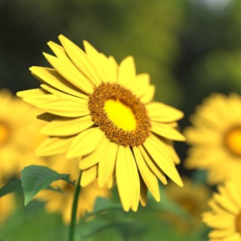 Meet your Posher, Mary