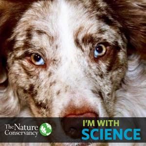 Meet your Posher, Rhoda