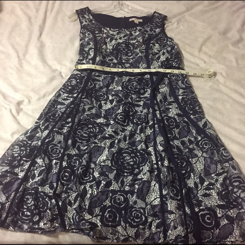 Dressbarn Navy and White Size 12 A-line lace dress
