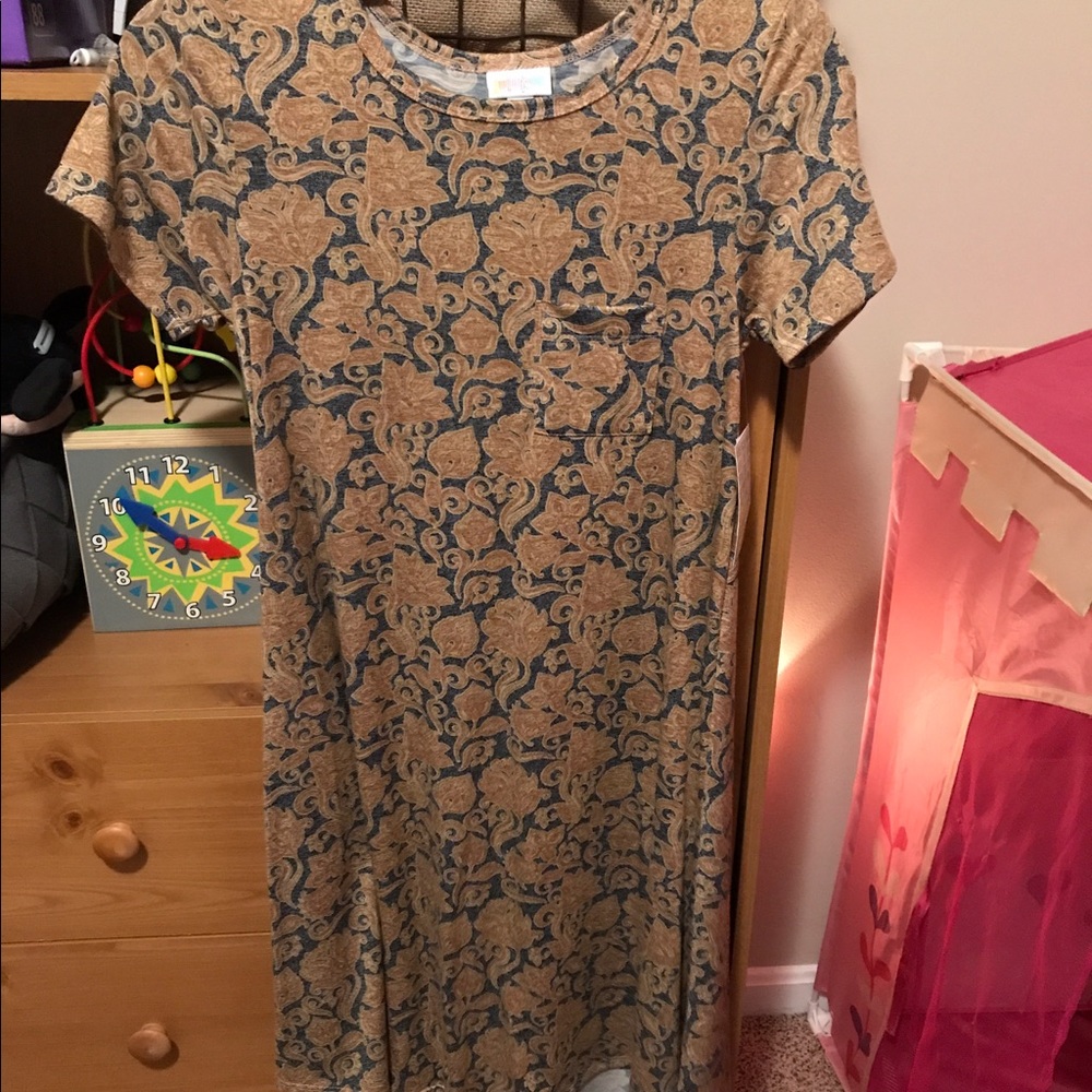 XXS LulaRoe Carly Dress
