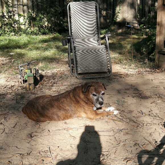 POSH AMBASSADOR!!!! - Picture 2 of 3