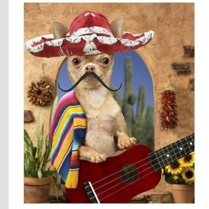 Meet your Posher, Carolyn