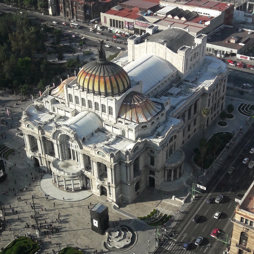 Meet your Posher, Yesenia