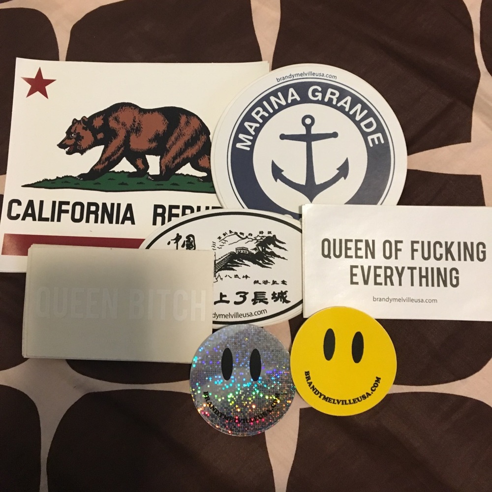 LAST CHANCE🚨 RARE BRANDY MELVILLE STICKERS