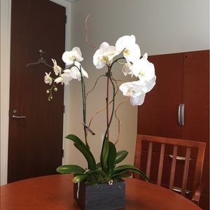 Meet your Posher, Lynnell