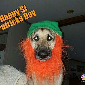 Meet your Posher, Karla