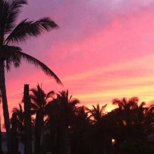 Meet your Posher, Allie