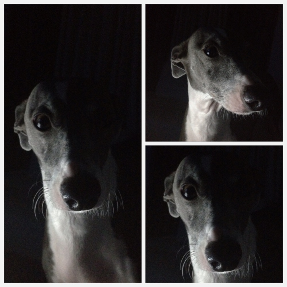 Meet your Posher, Jen