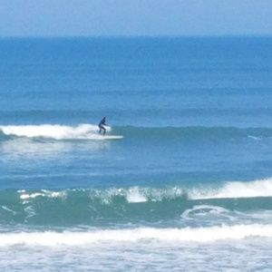 Meet your Posher, Erika