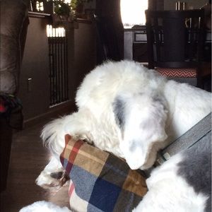 Meet your Posher, Jane