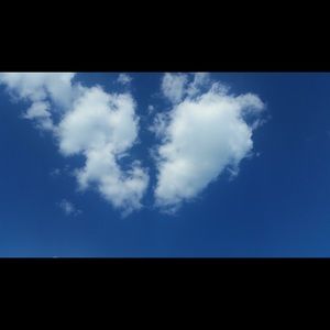 Meet your Posher, Maggie