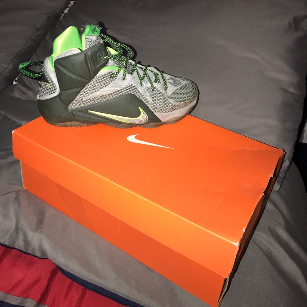 Kids Lebron Nike Sneakers