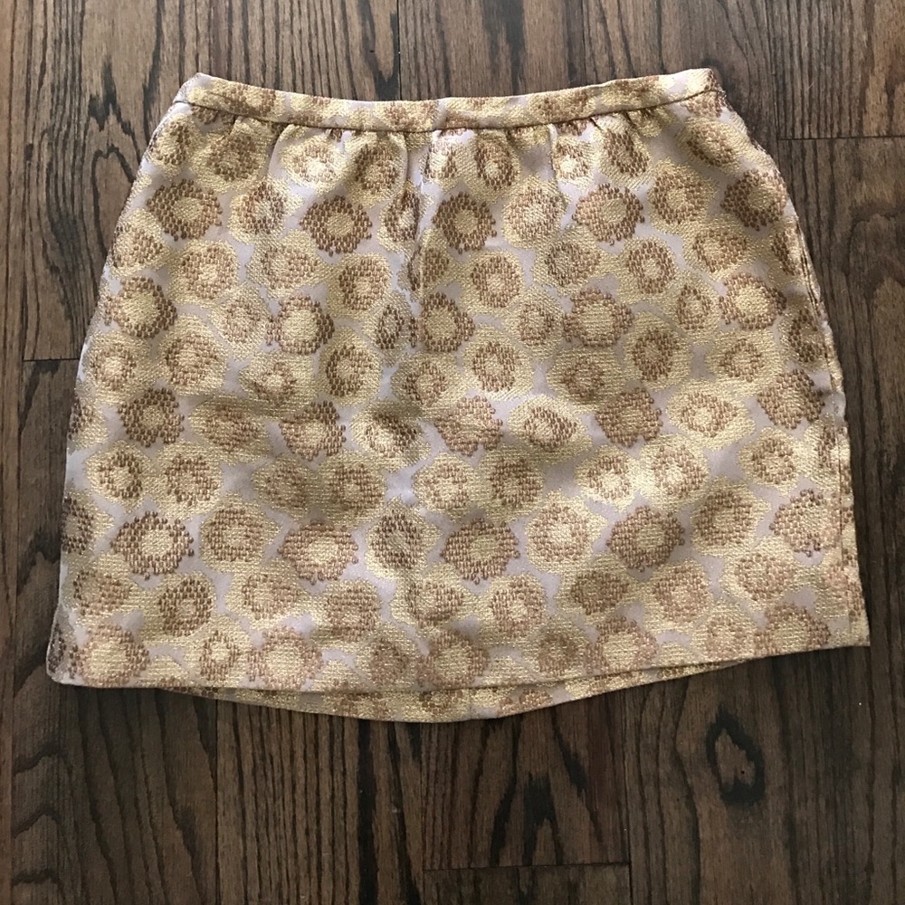 J Crew Skirt