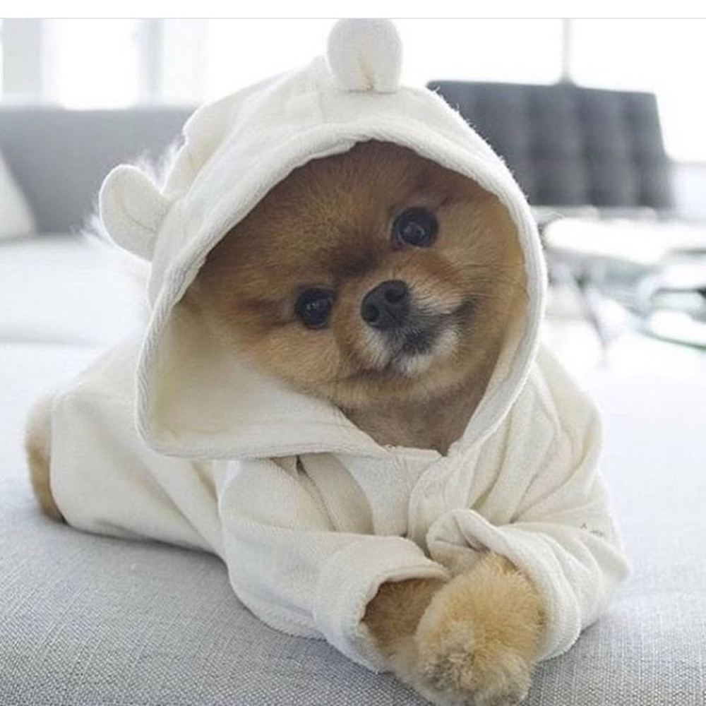 Meet your Posher, Robin