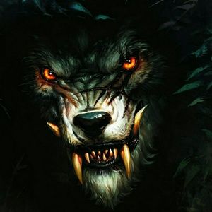 Meet your Posher, Derrick