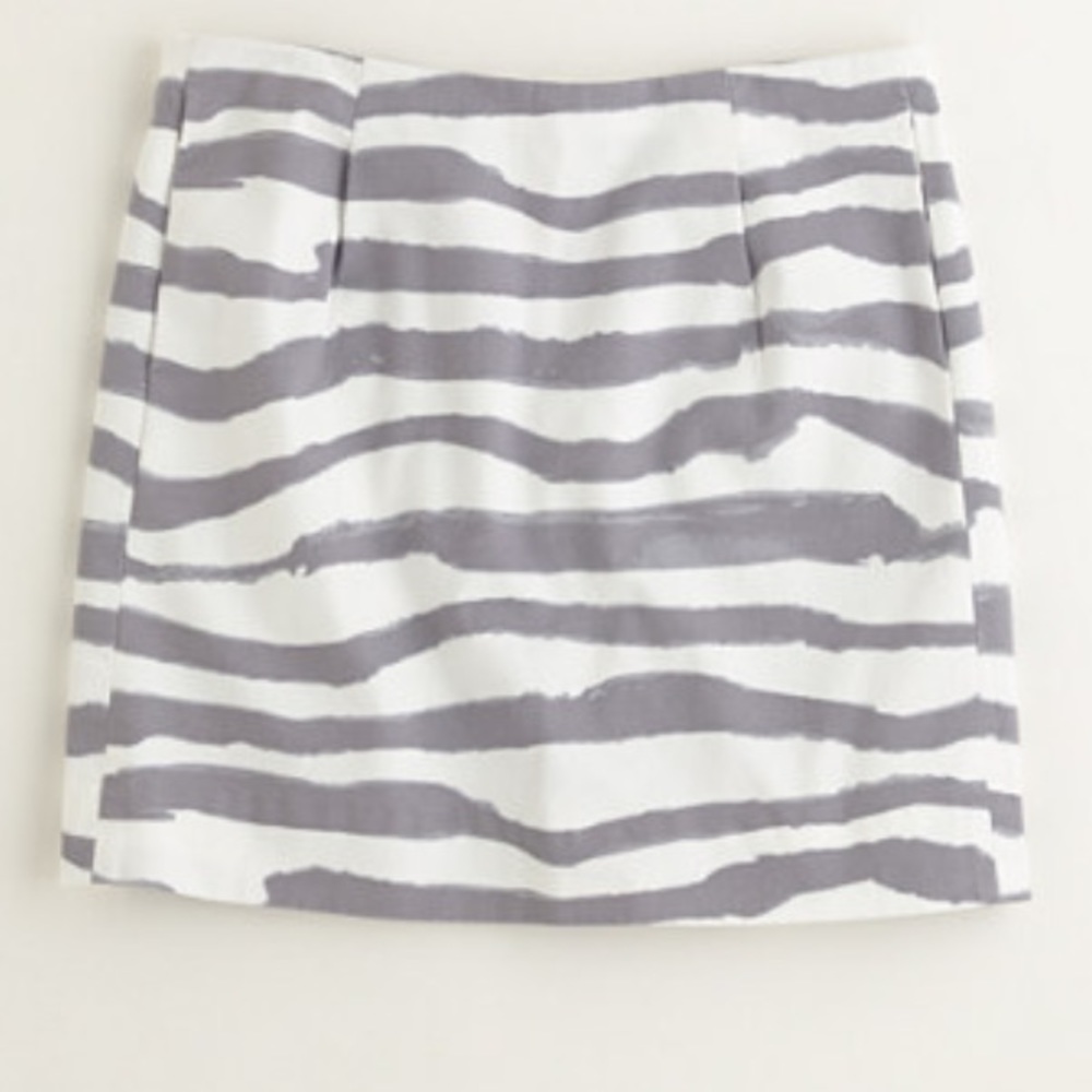 J Crew Skirt