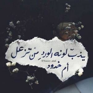 Meet your Posher, Angim