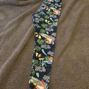 LuLaRoe TC bird leggings