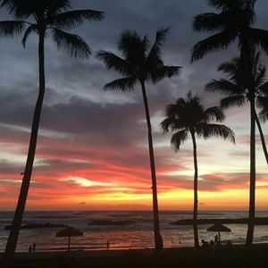 Meet your Posher, Breanna