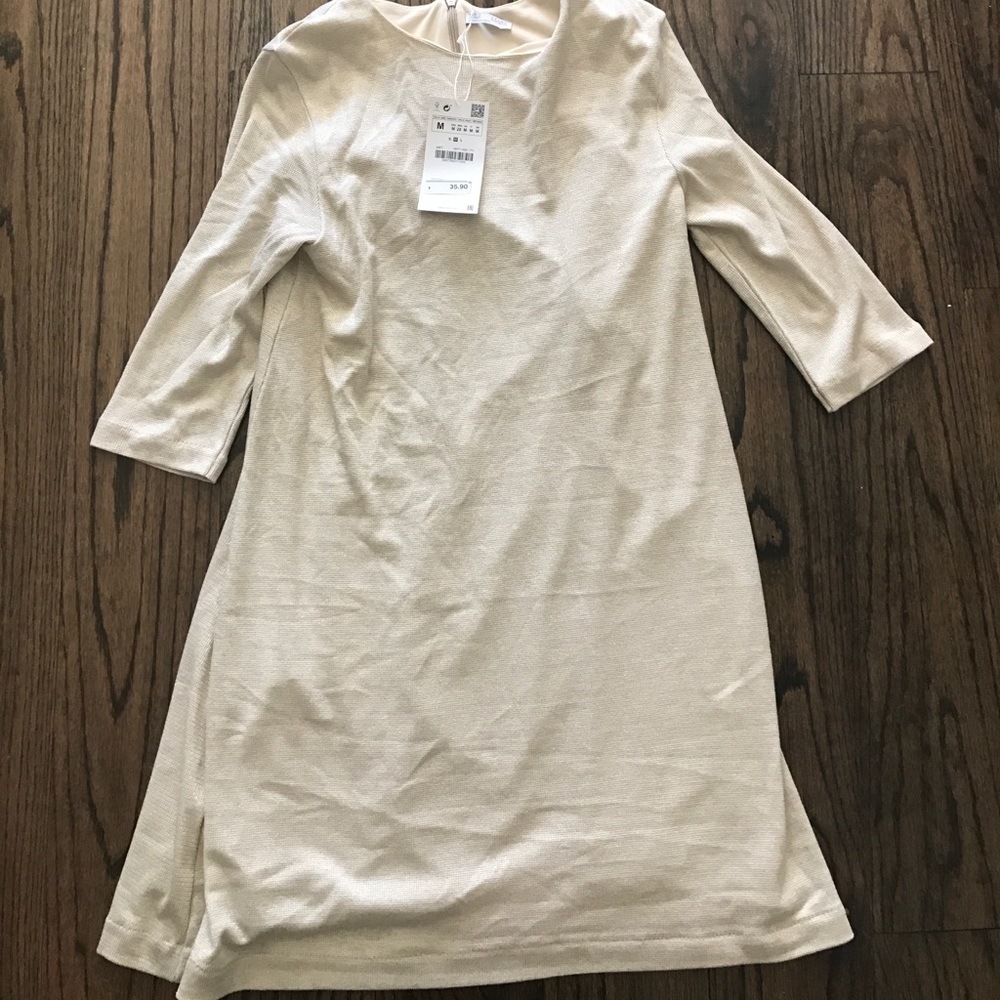 Brand New Metallic Zara Dress