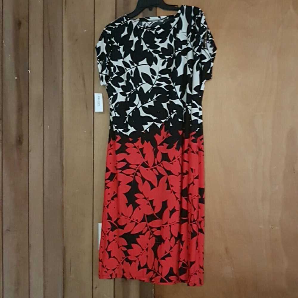 Dress barn