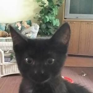 Meet your Posher, Darlene