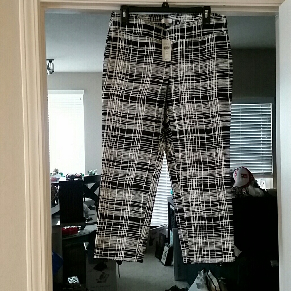 Loft capri pants